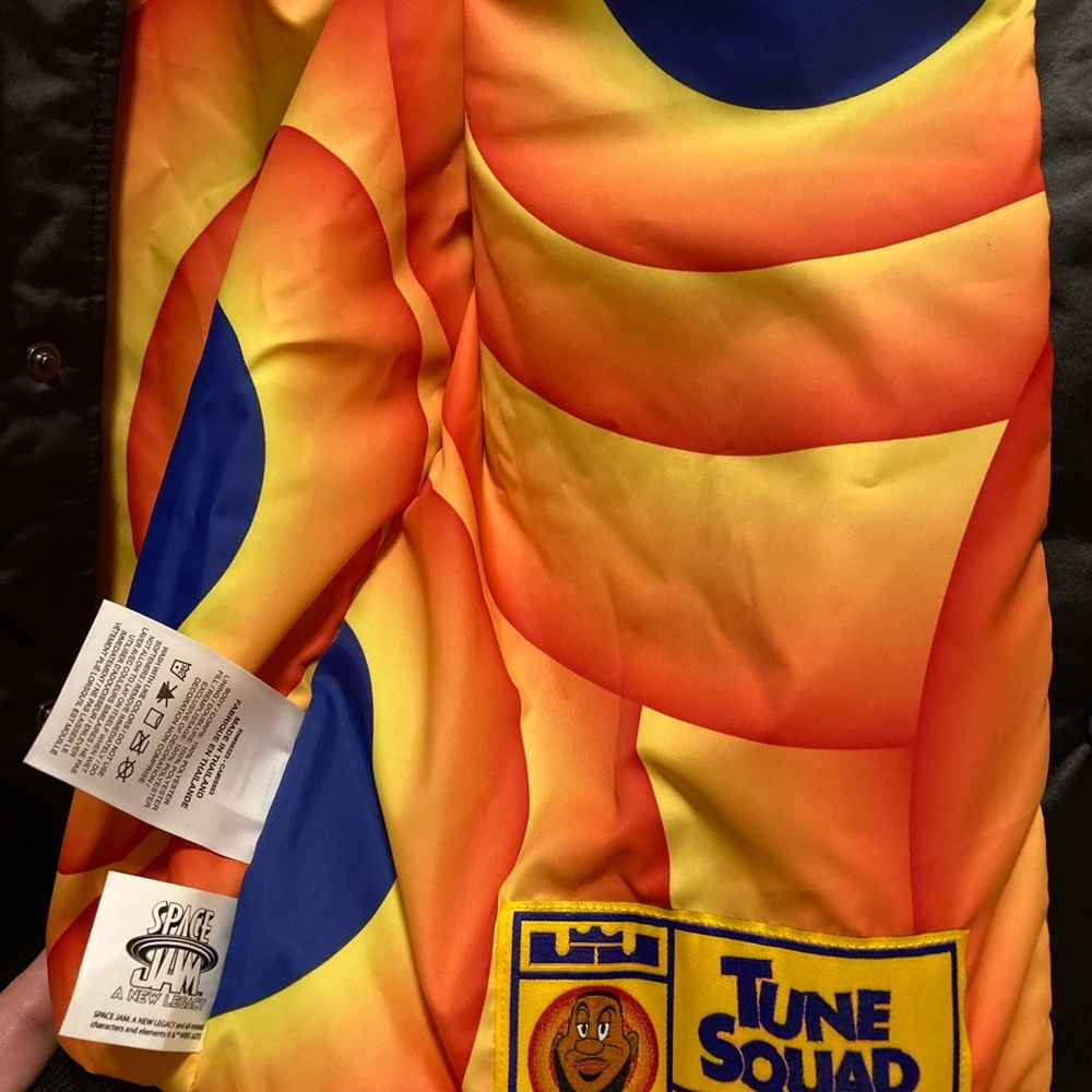 New Nike Lebron Space Jam Tune Squad Jacket Kids - Picture 9 of 13